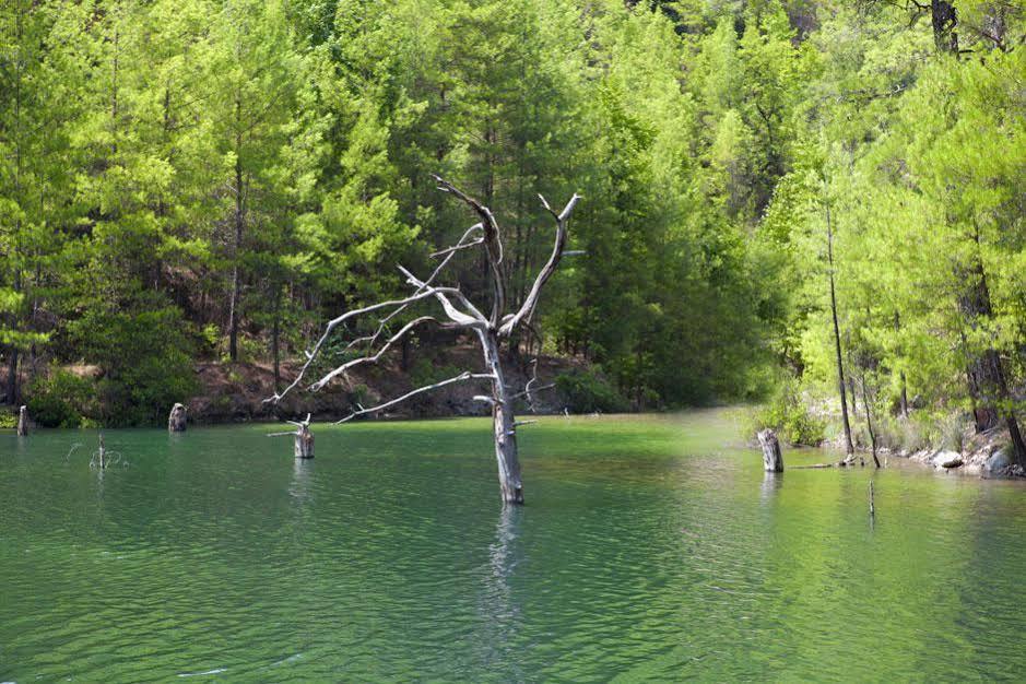 Sakli Gol Evleri Hotel Karacaoren  Bagian luar foto